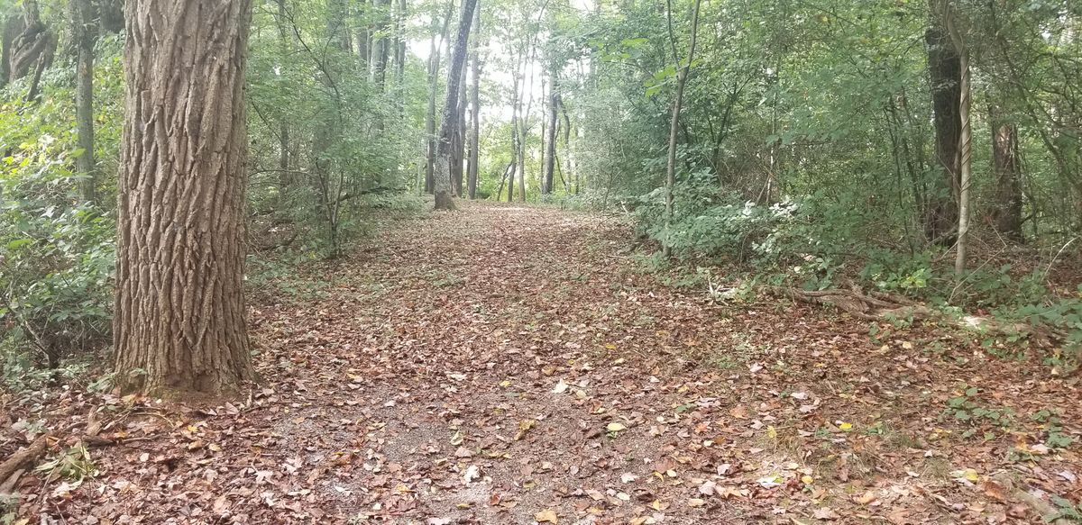 #4  short left to right and finishes downhill