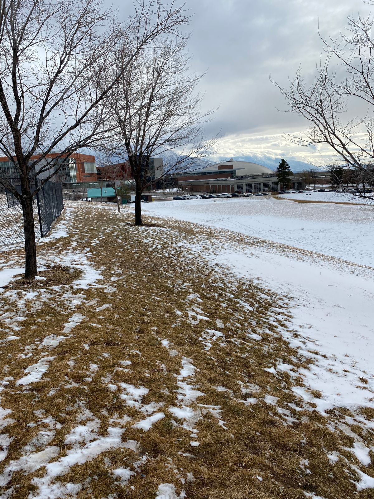 Hole 6 tee. Over 300 feet downhill.