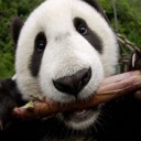 User avatar image
