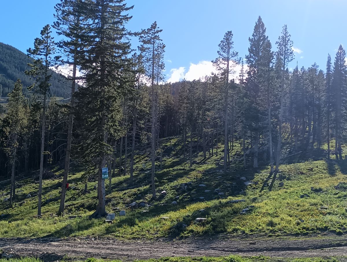 Hole 14