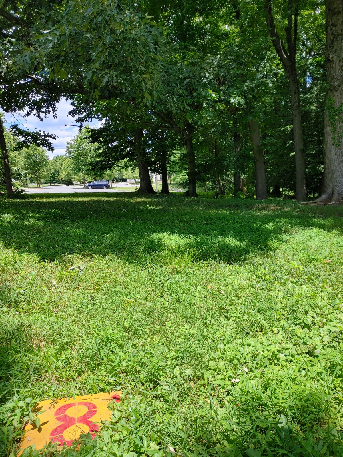 Eighth tee