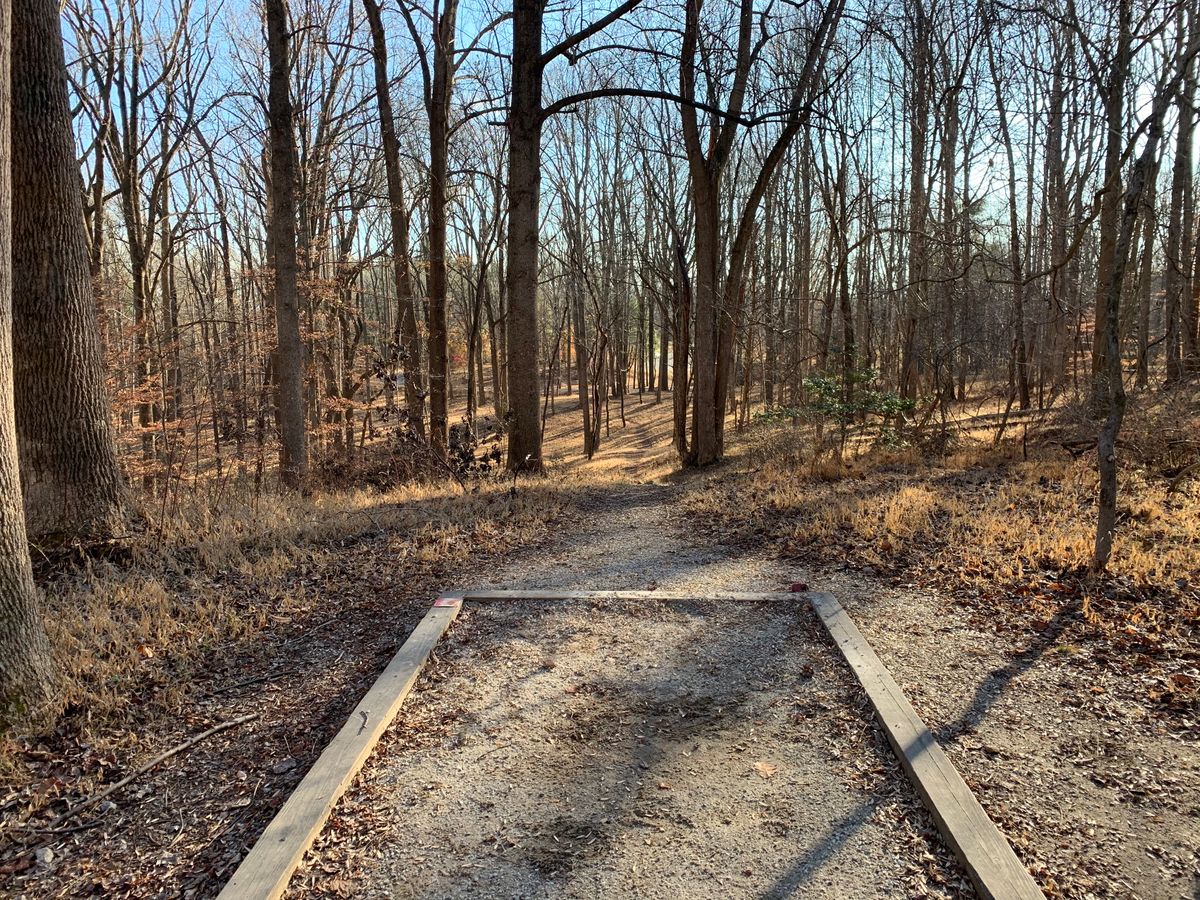 Hole 8 (short tee)