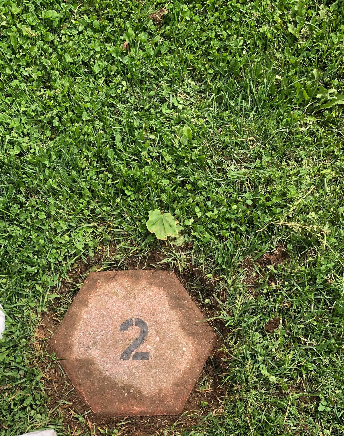 Tee markers are now visible.