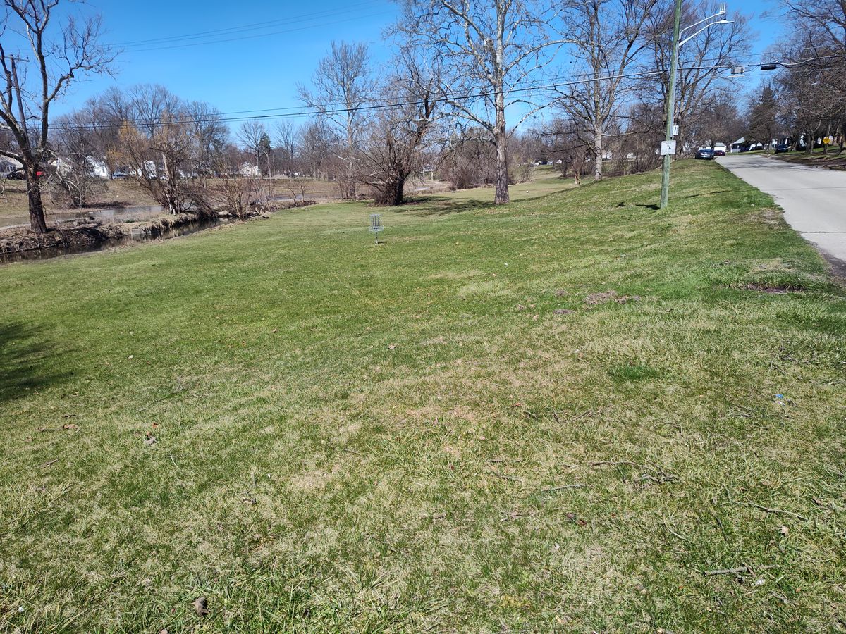 Hole 5 basket from beyond