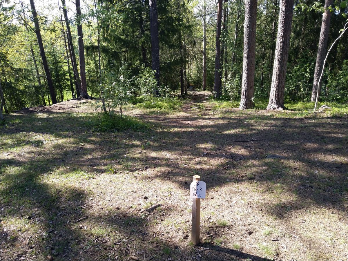 Hole 3