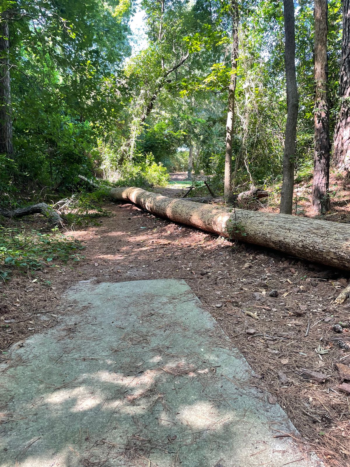 Hole #11 From The Tee pad