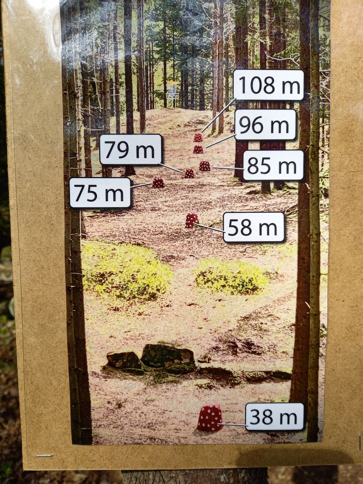 Svamplängd