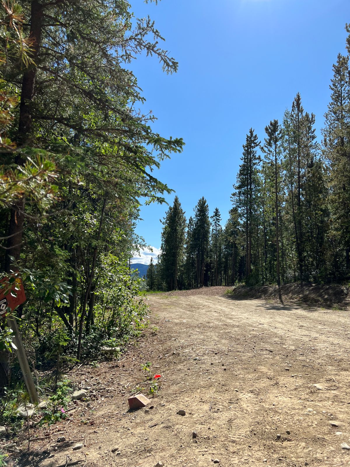 Hole 5 reds