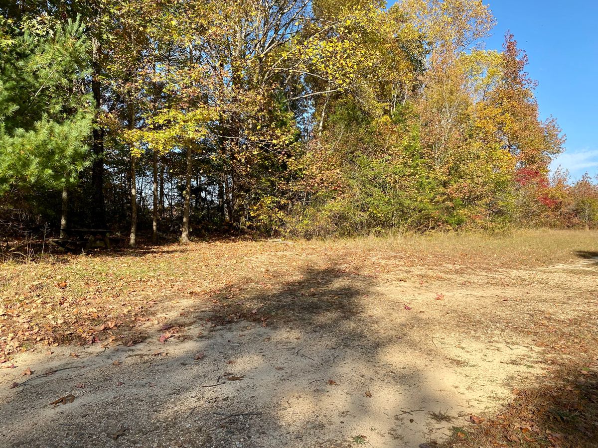 Parking area with picnic table