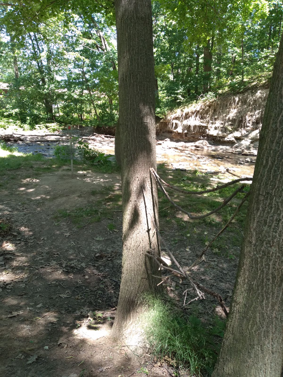 #3