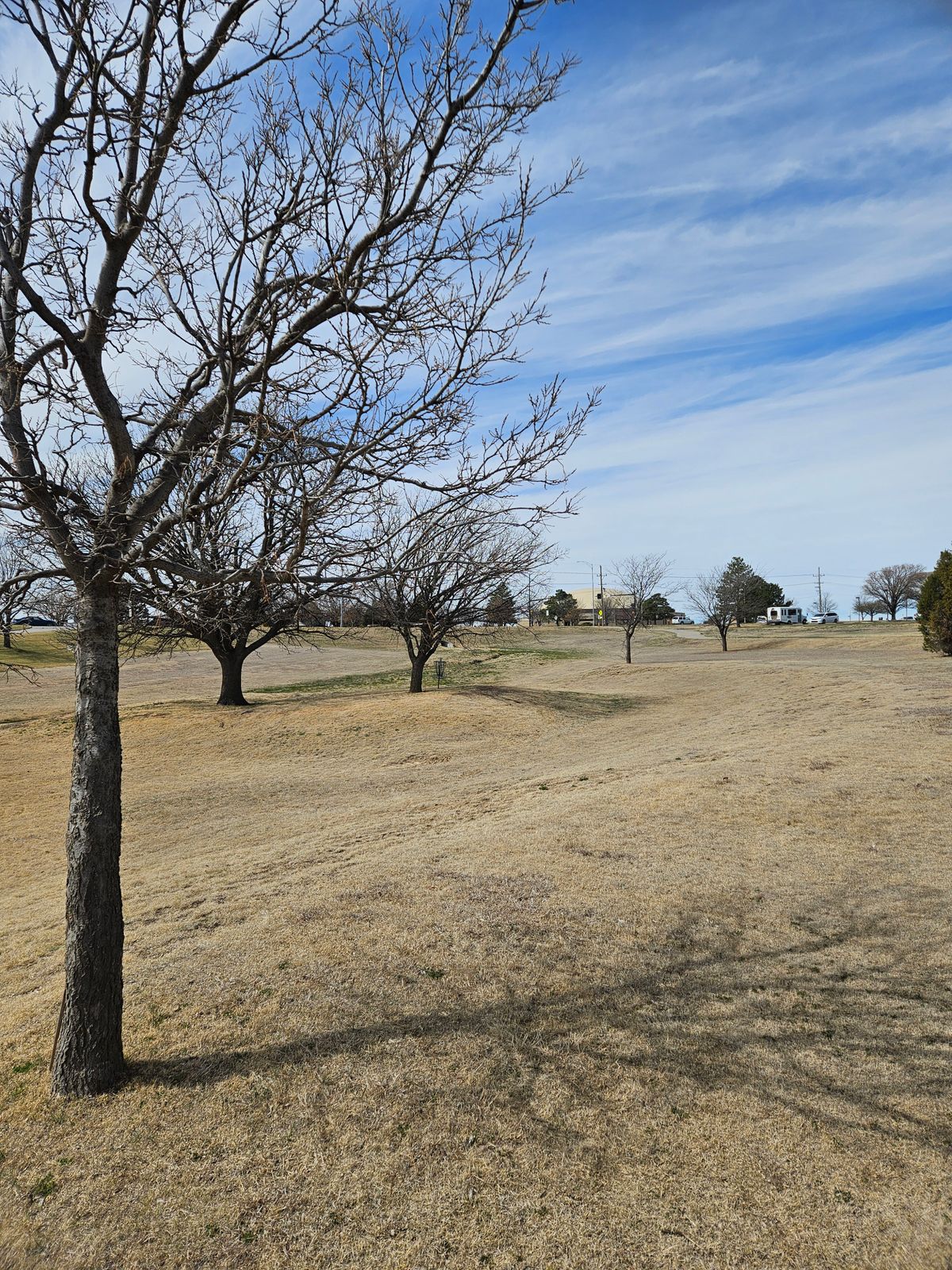 Hole #5 Drop Zone