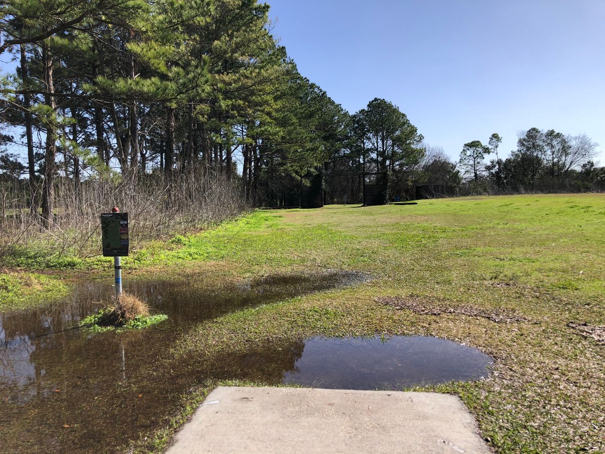 Hole 9