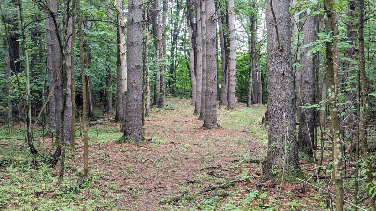 Hole 4 fairway