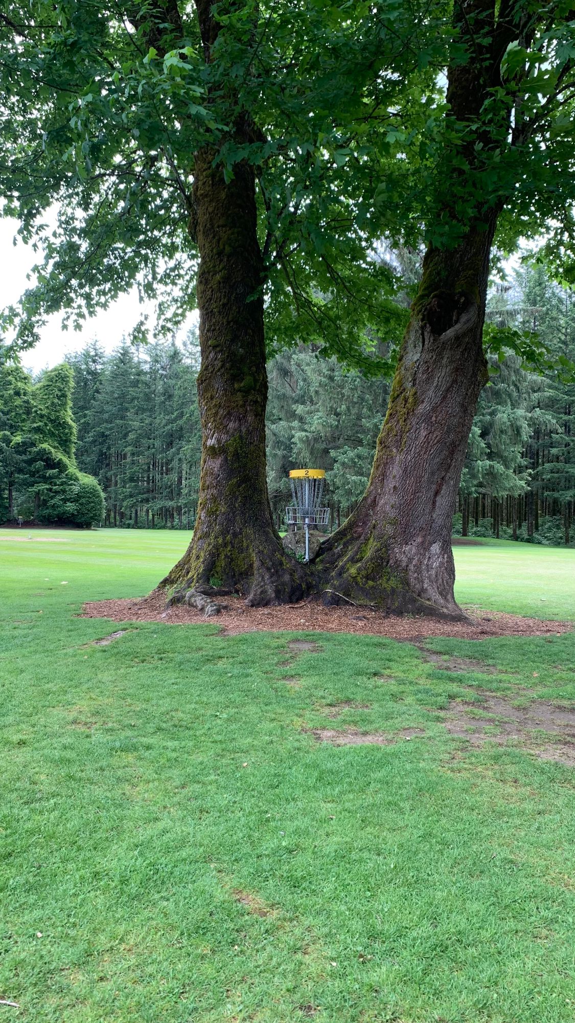 Hole 2