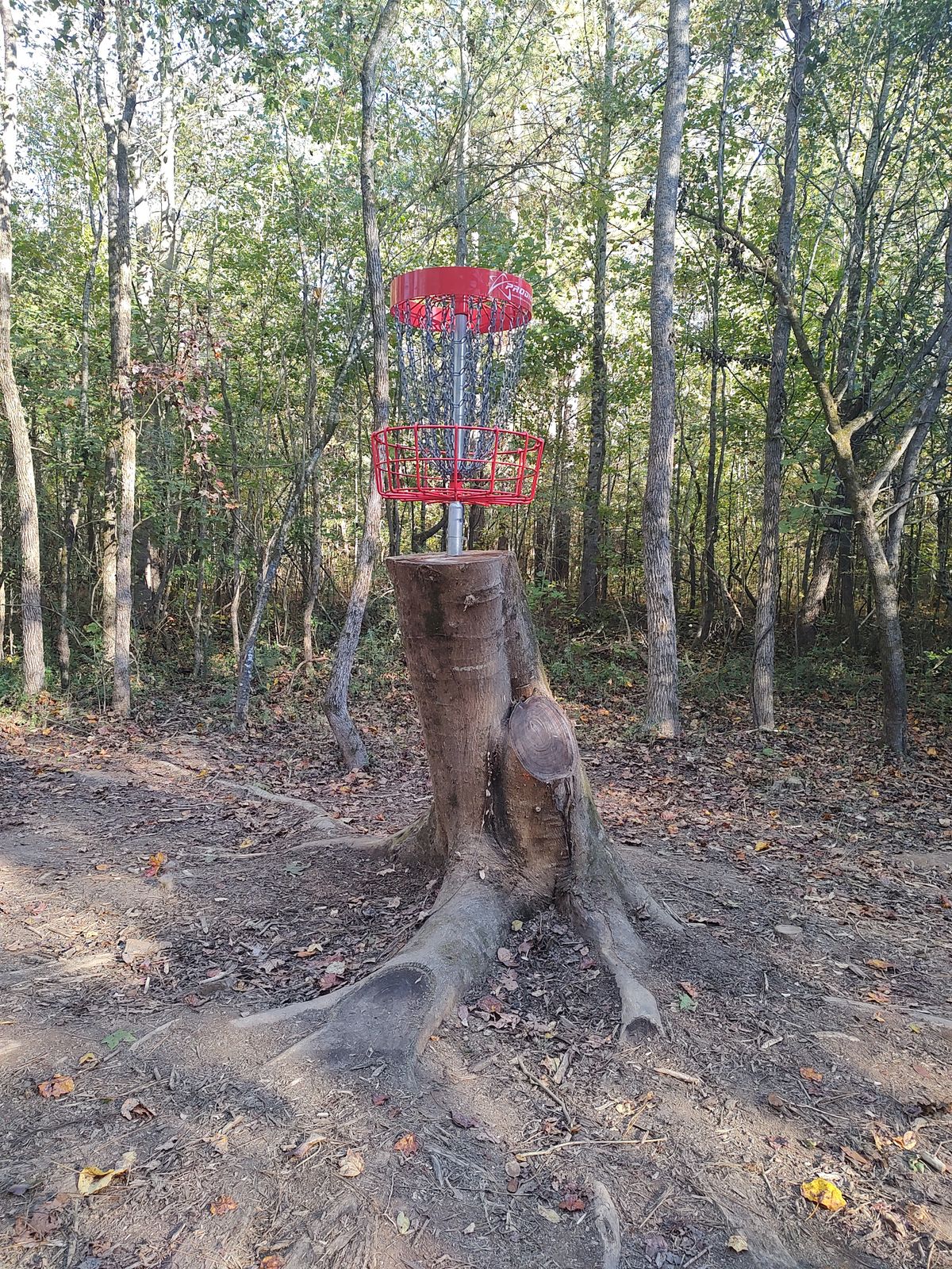 Coolest basket ever!!!