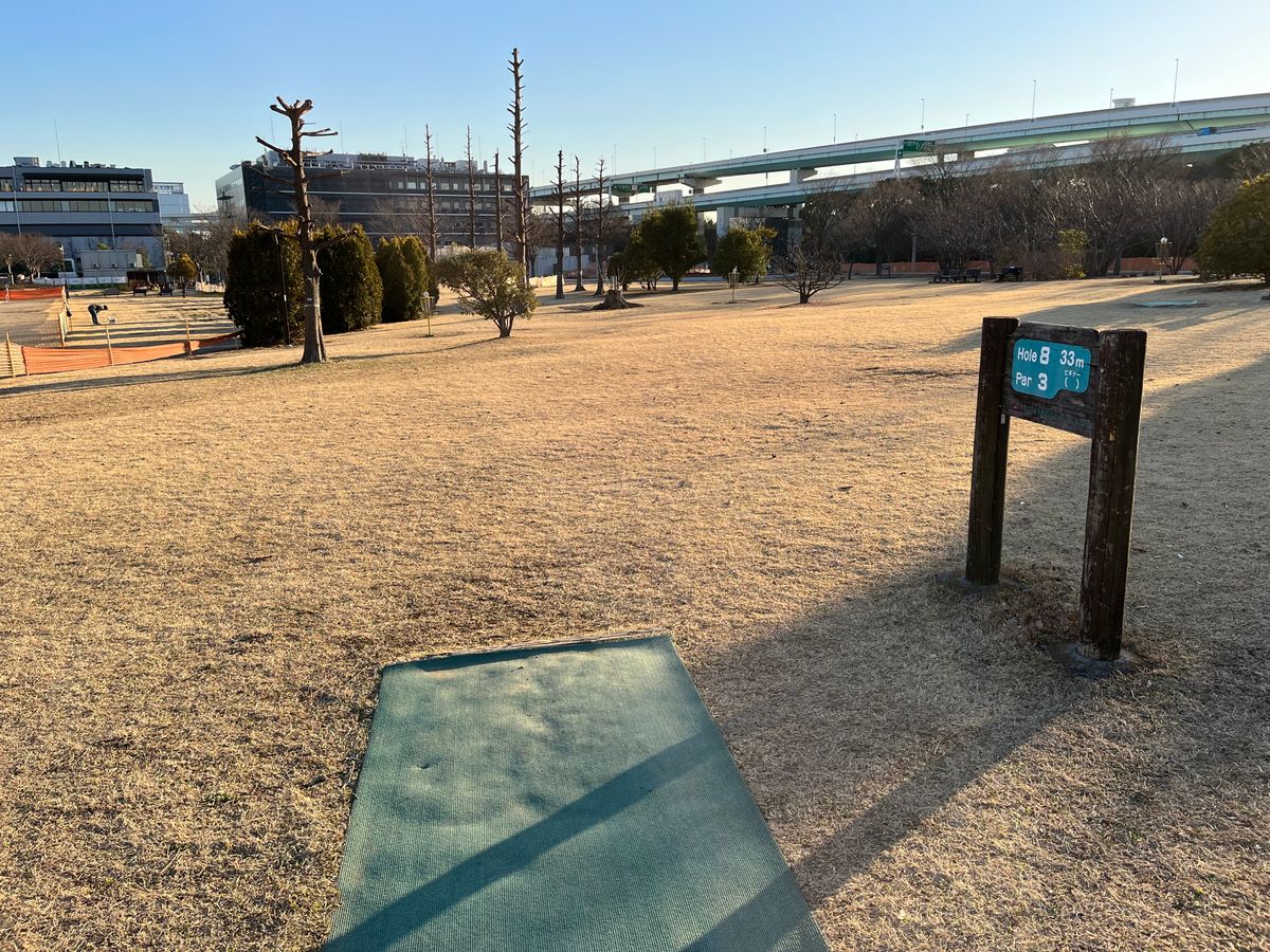 Tee 8 with basket straight ahead