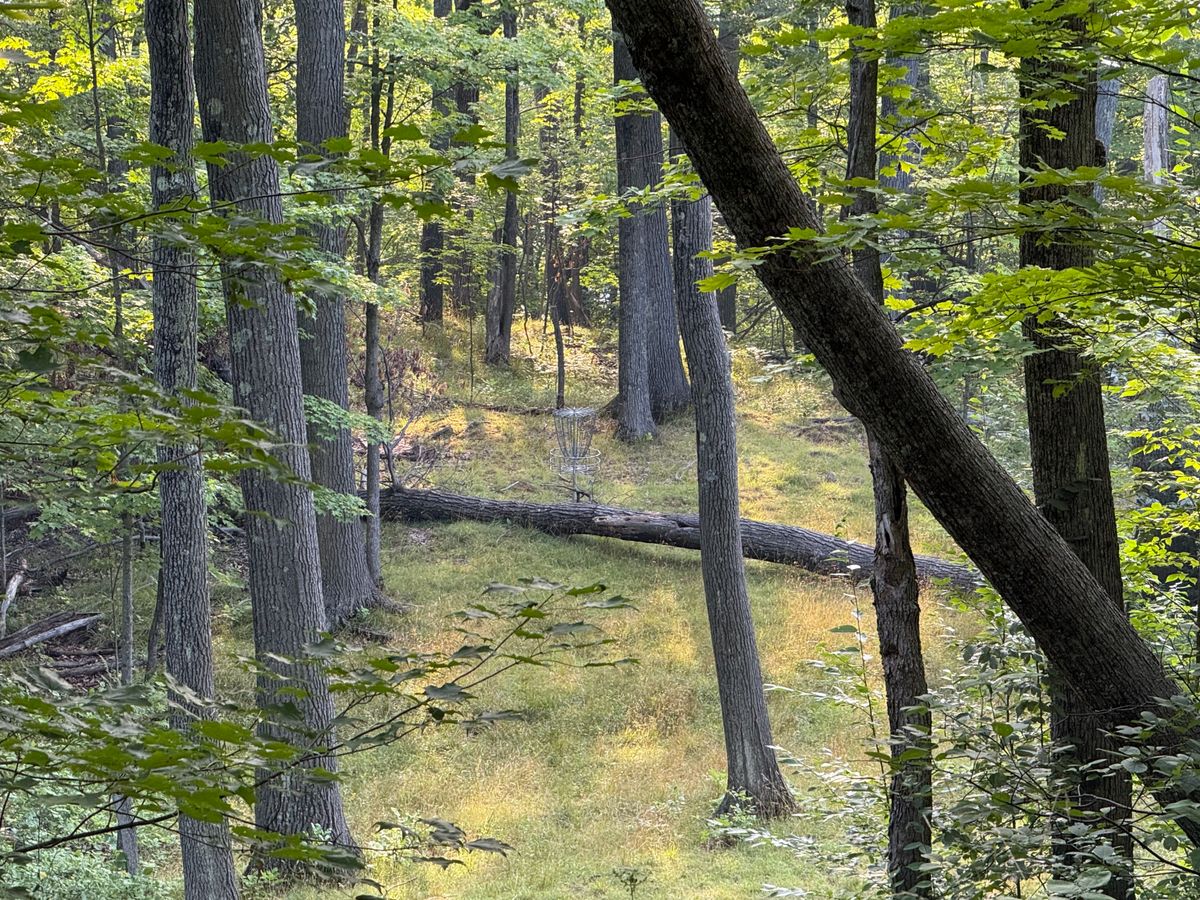 Zoom view of 16 basket from the tee pad. Fun look