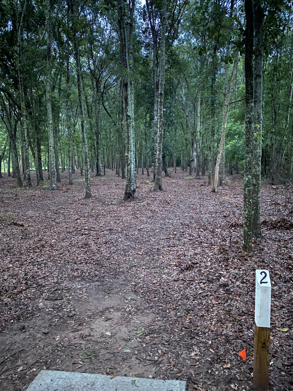 Hole 2 tee