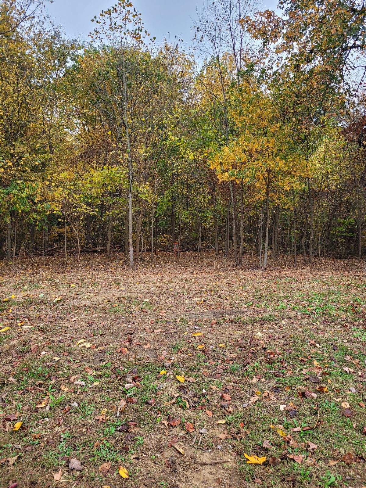 Hole 2's basket location