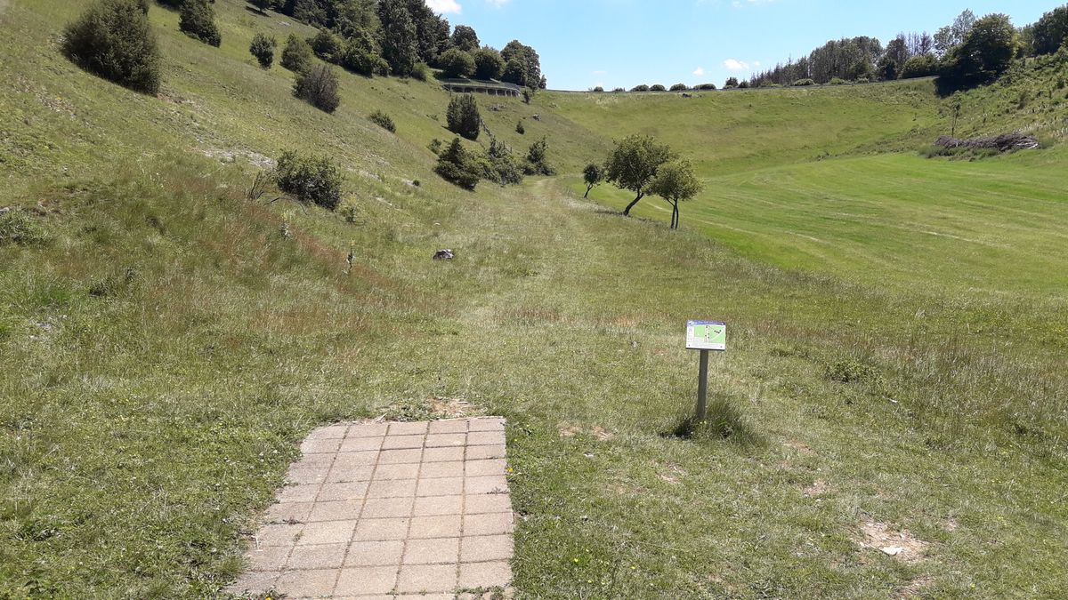 Hole 8 - it's hard to find since the arrow on 7 points in the wrong direction, it's all the way down at the bottom of the opposing hillside