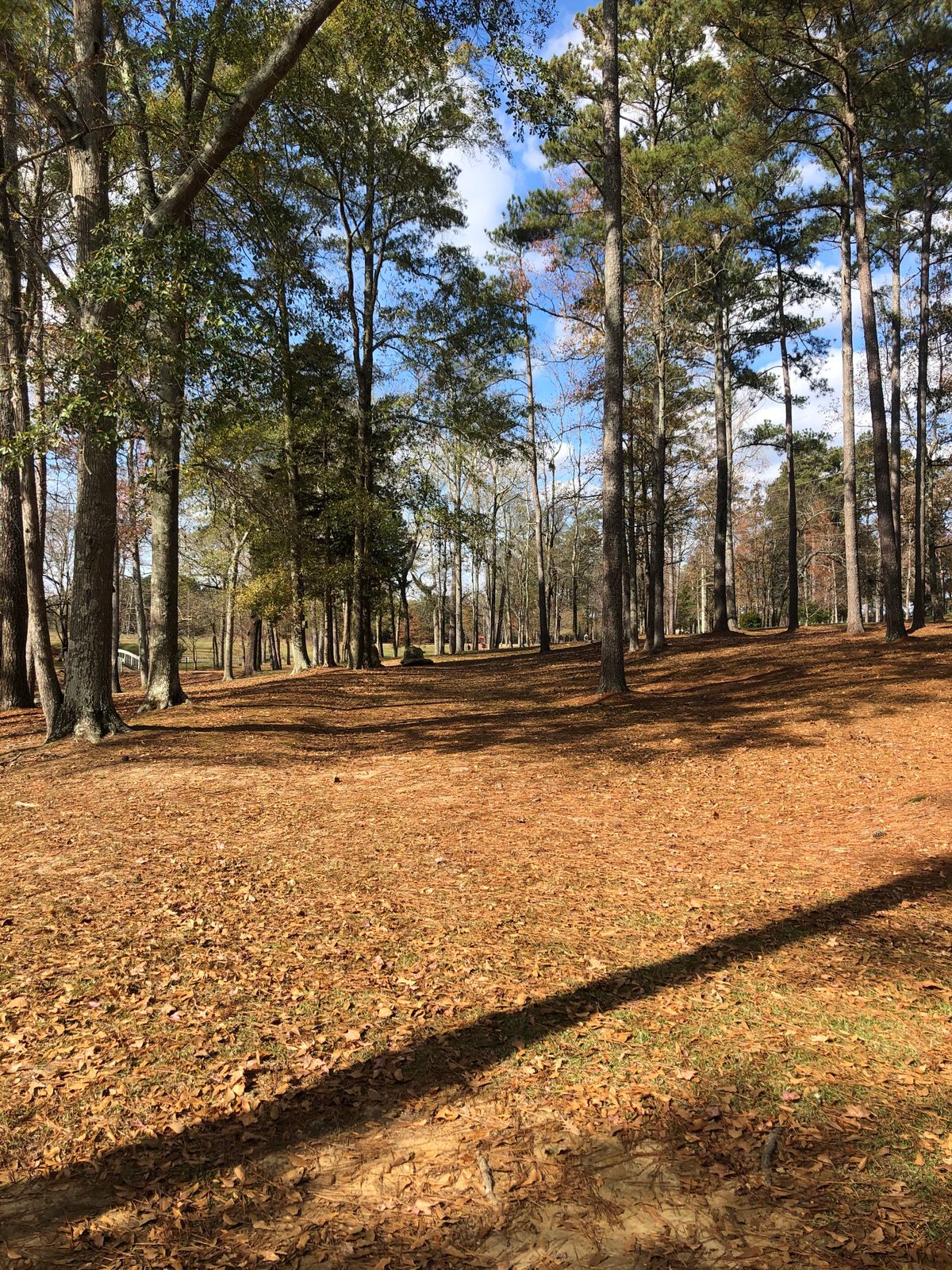 Hole 13