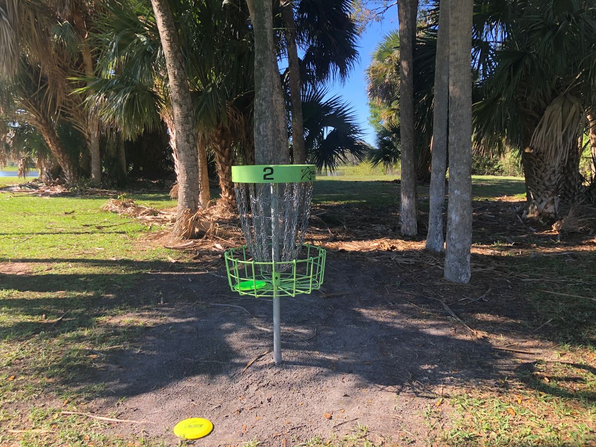In the basket for the .....