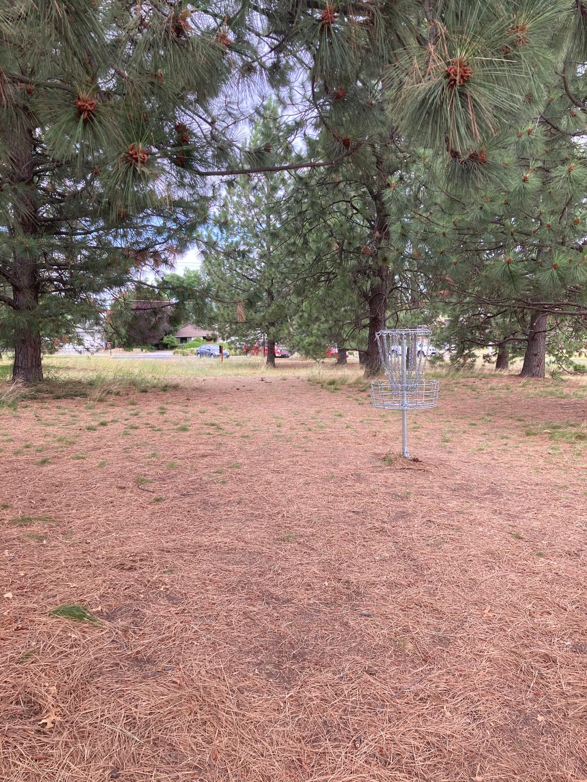 Hole one's green