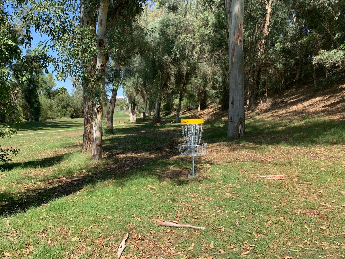 Alpha Hole 13 Basket