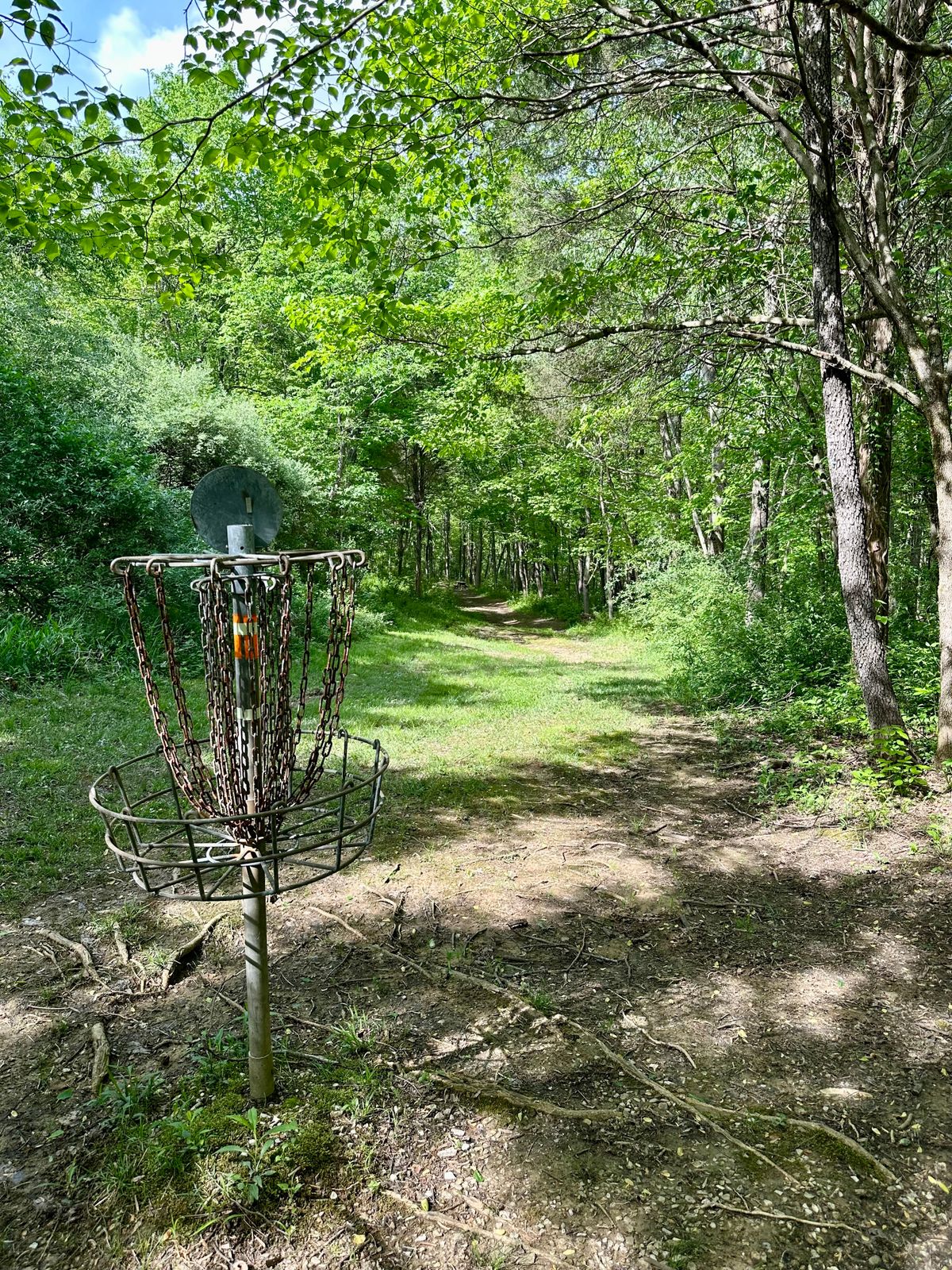 Hole 17 from basket to tee.
