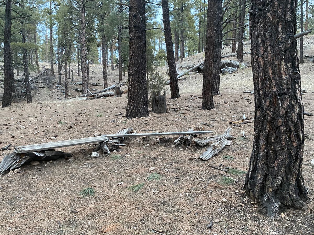 Benches
