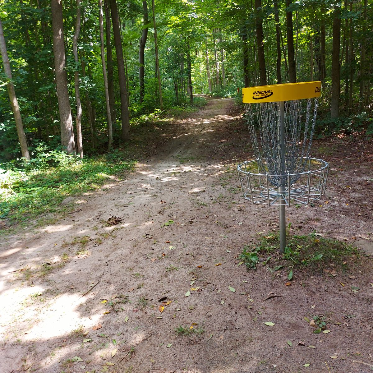 Reverse back up the fairway on hole 13.🌳🪵🌿🪵