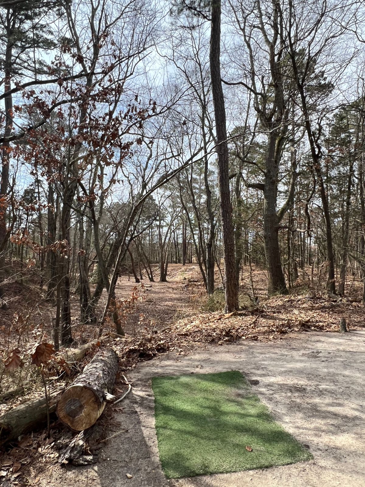 Hole 12 short tee
