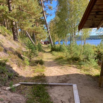 Tee 9 kasta inom det markerade området eller lite till vänster om skjulet