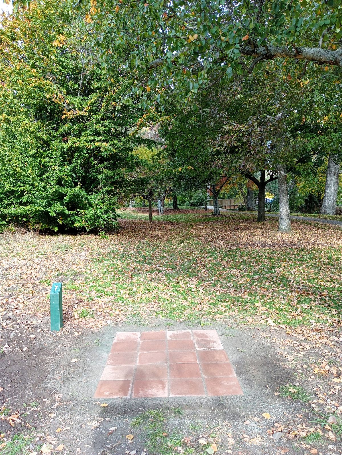 Hole 7