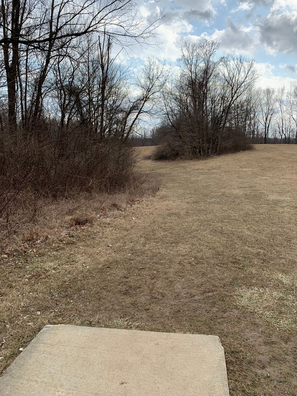 Hole 15 Short Tee
