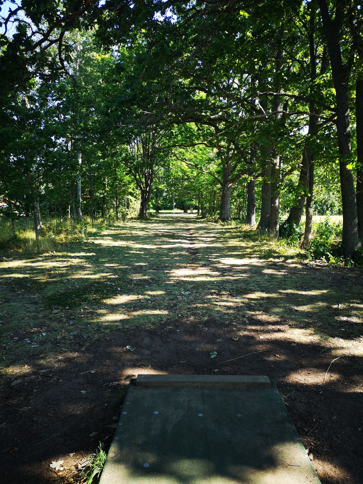 Tee 1