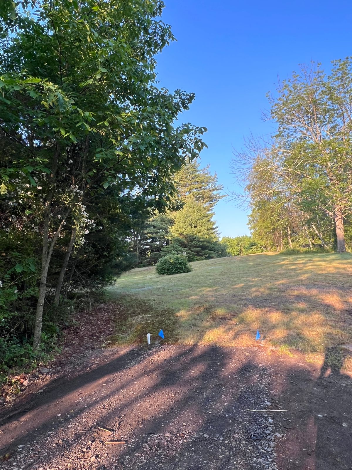 Tee 6