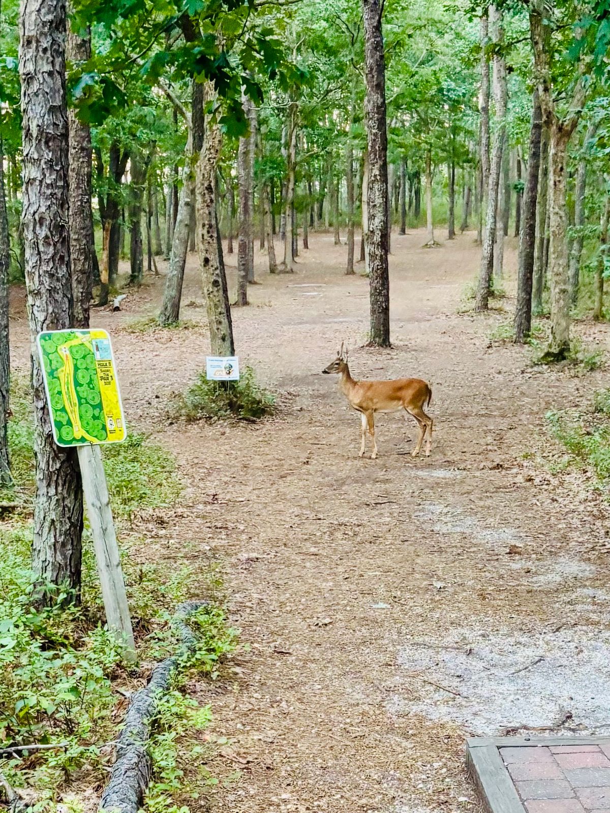 Buckxcellent!