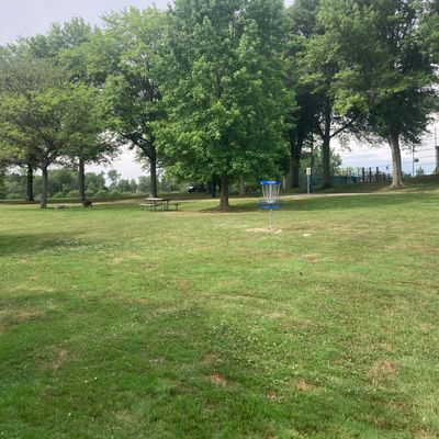 Hole 7 basket