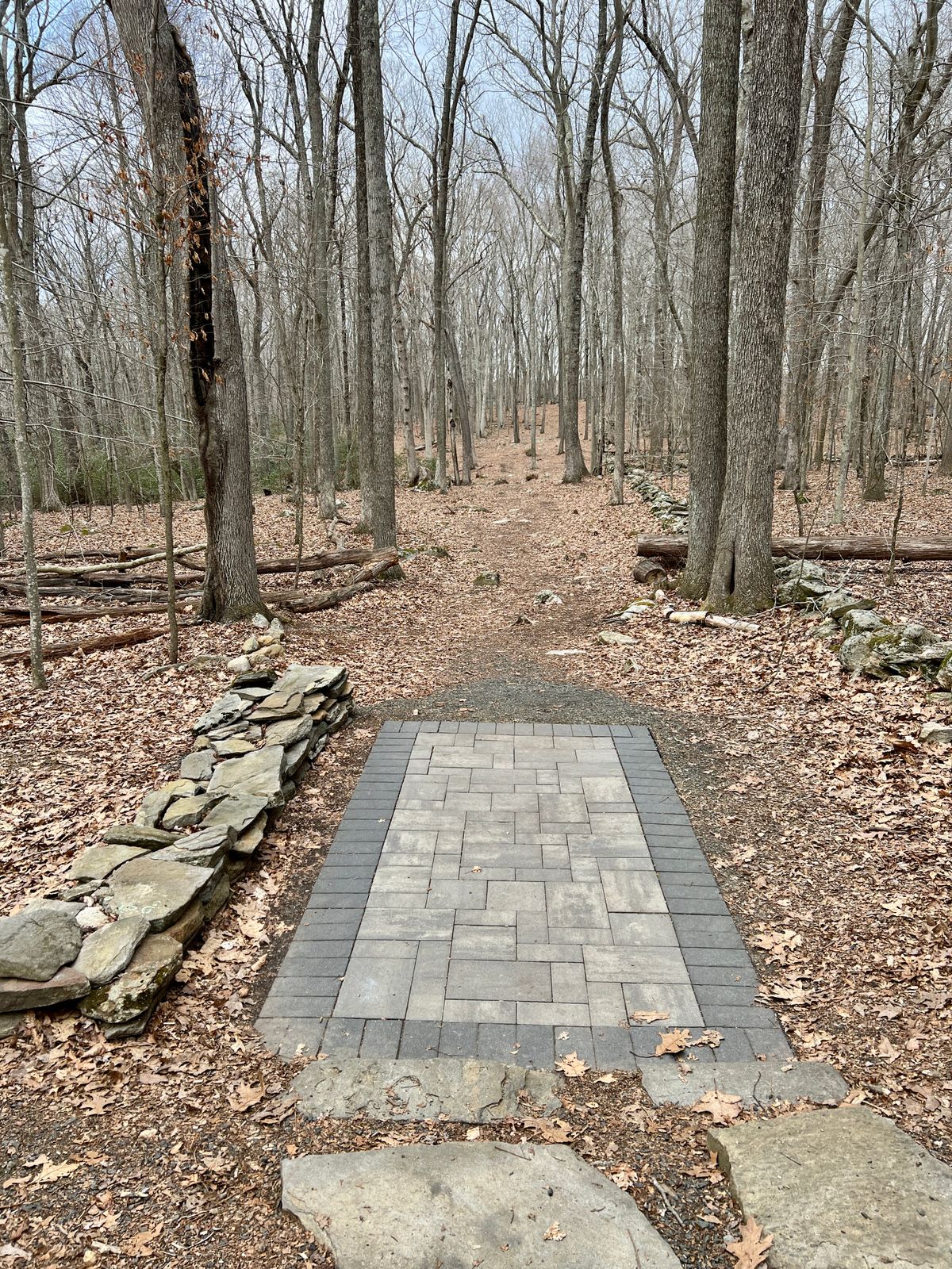 Tee Box #6