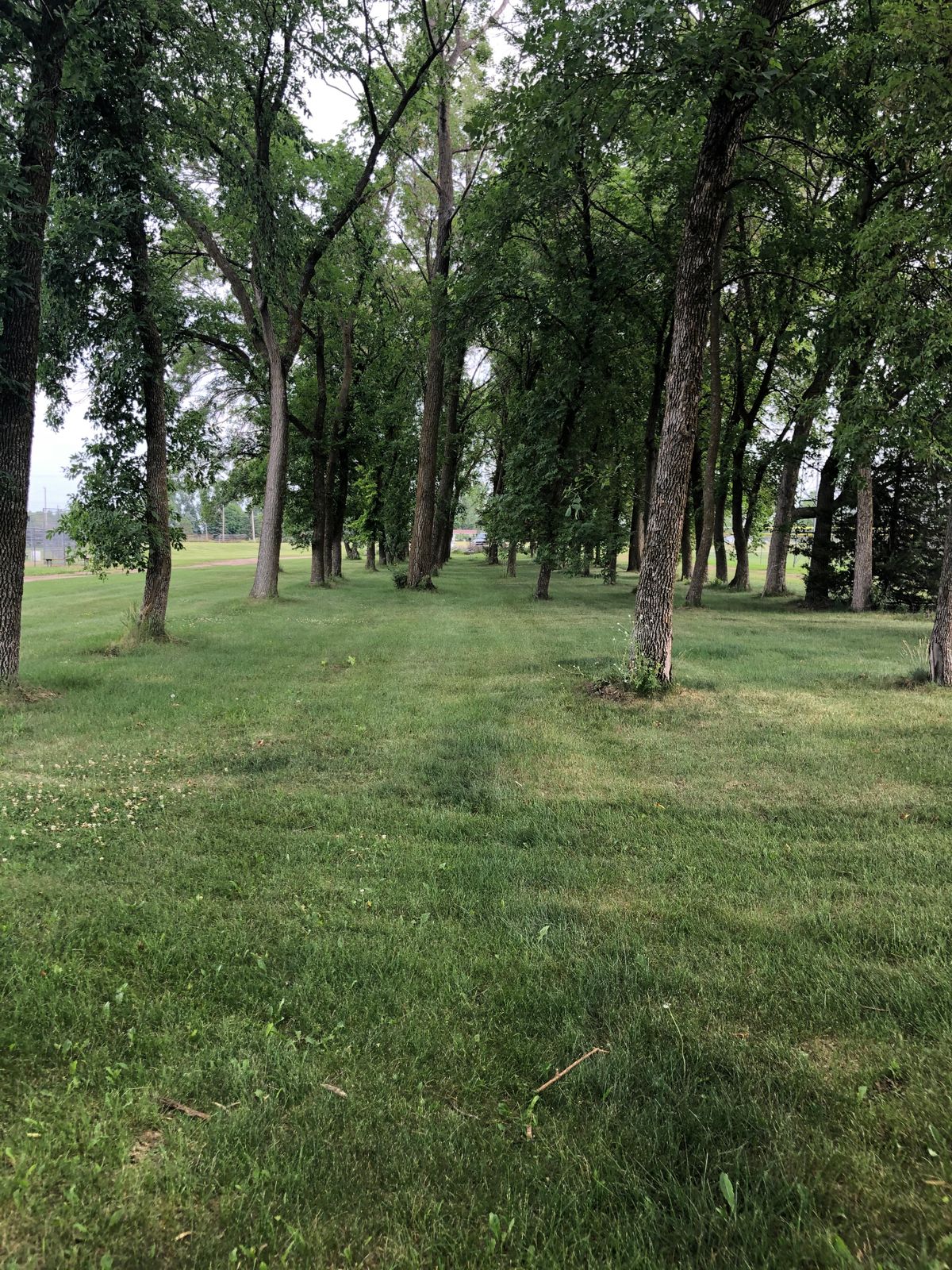 Hole #2