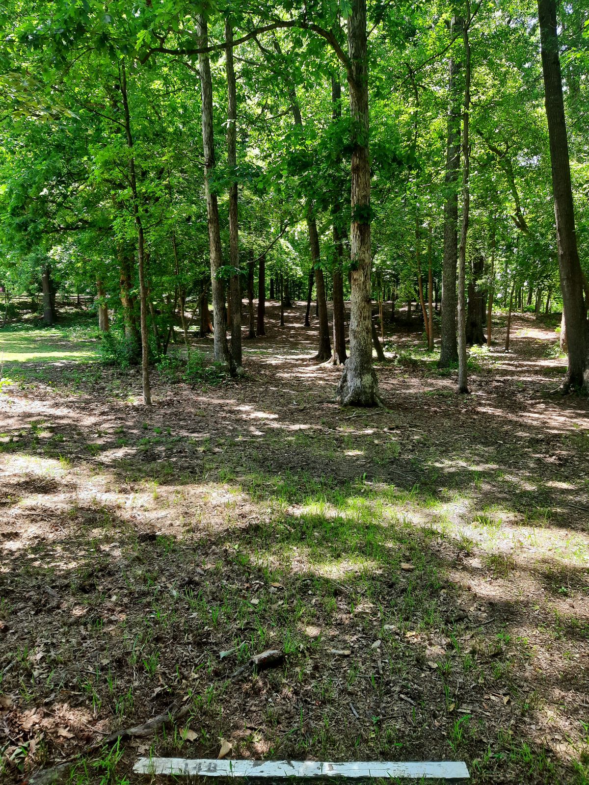 Hole 14 White Alt Tee