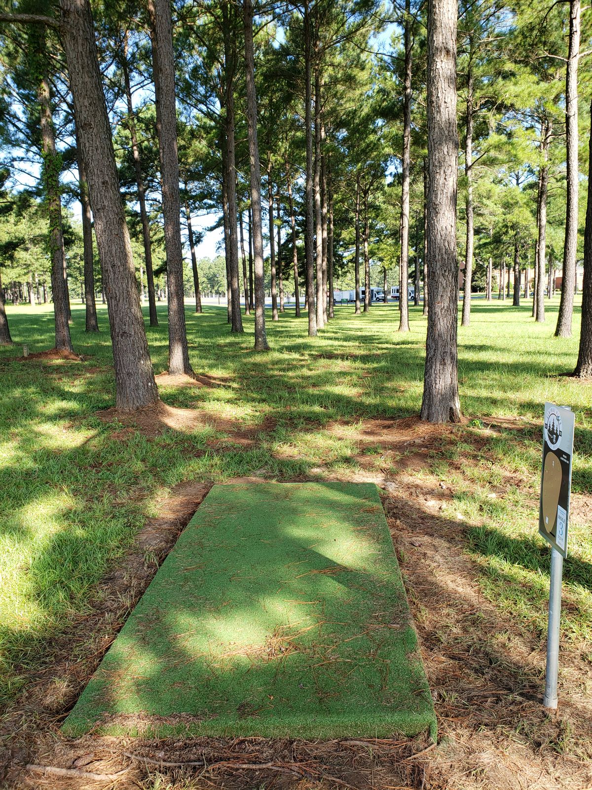 #3 Blue Tee-Pad and Fairway