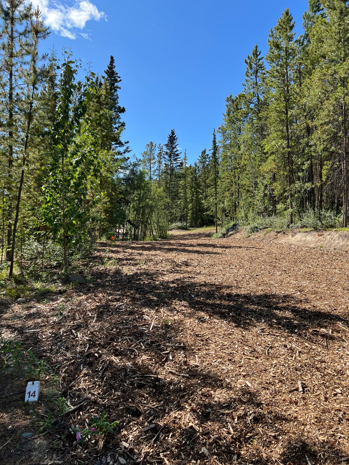 Hole 14 whites