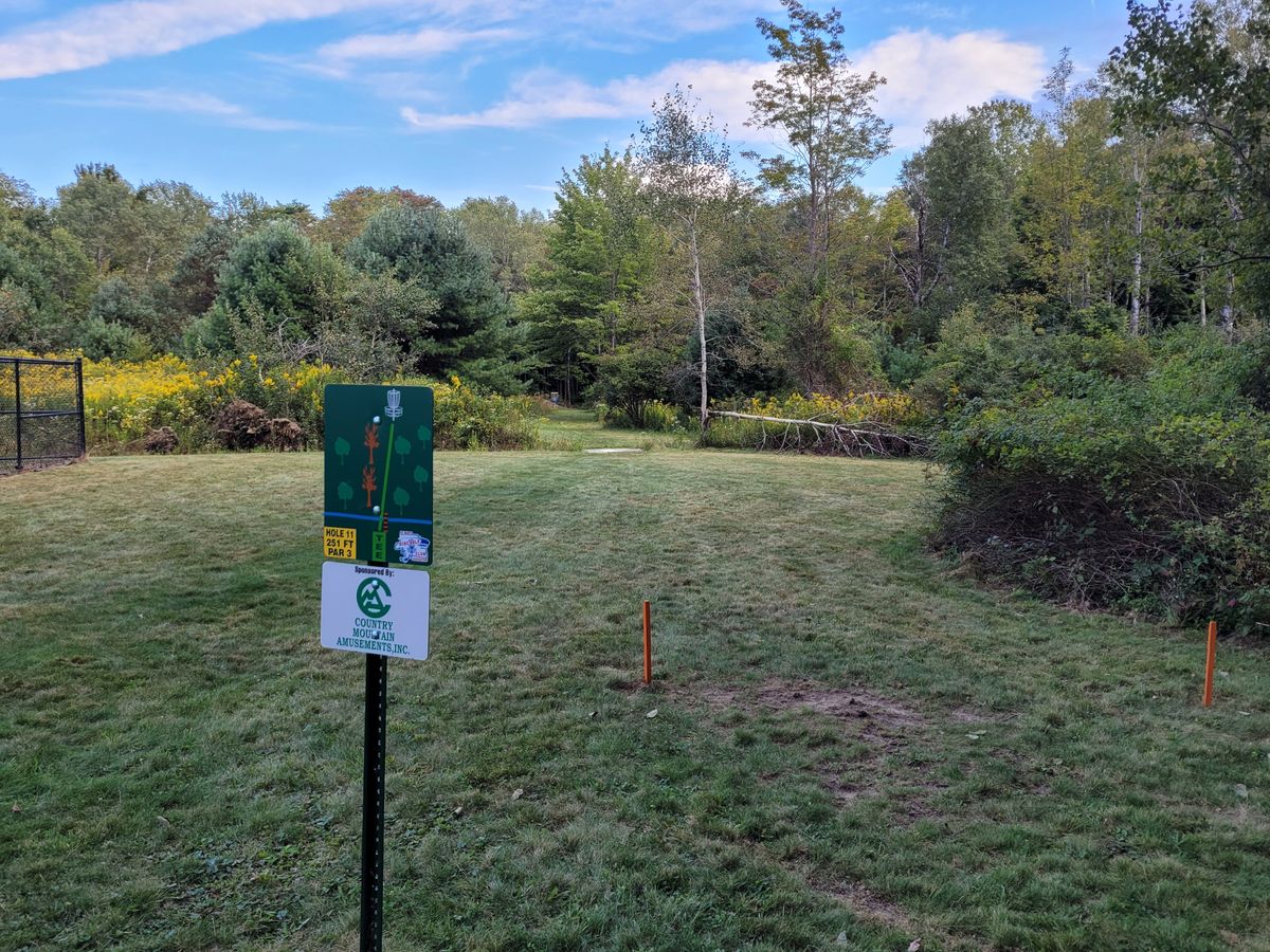 Hole 11 tee