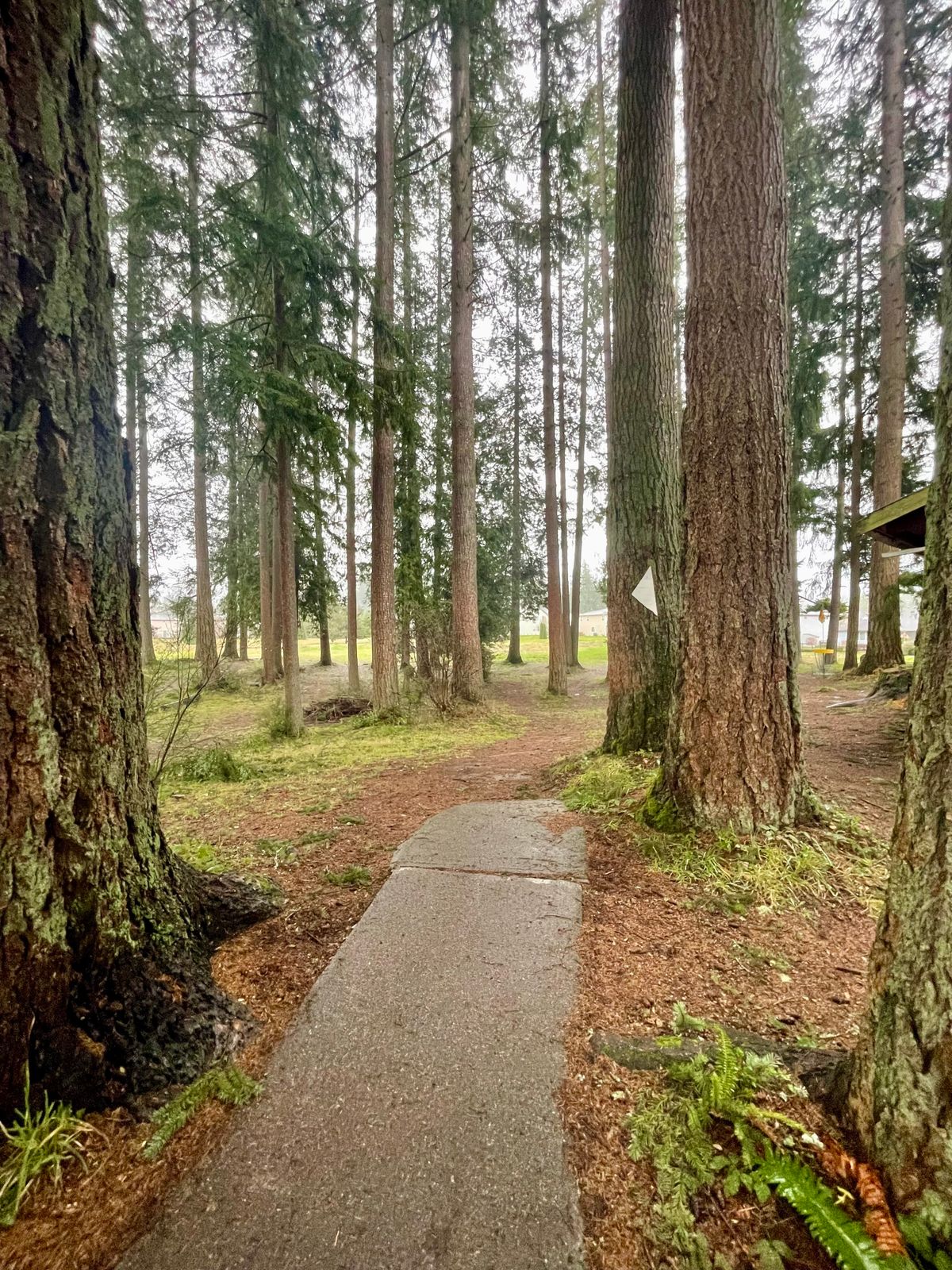 Hole 10 tee