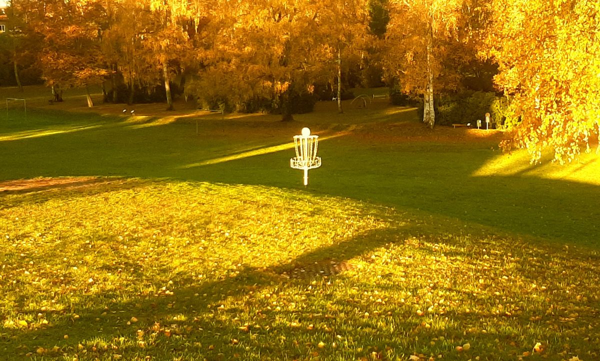 Korgen på hål 9. Utkastet nere vid träden.