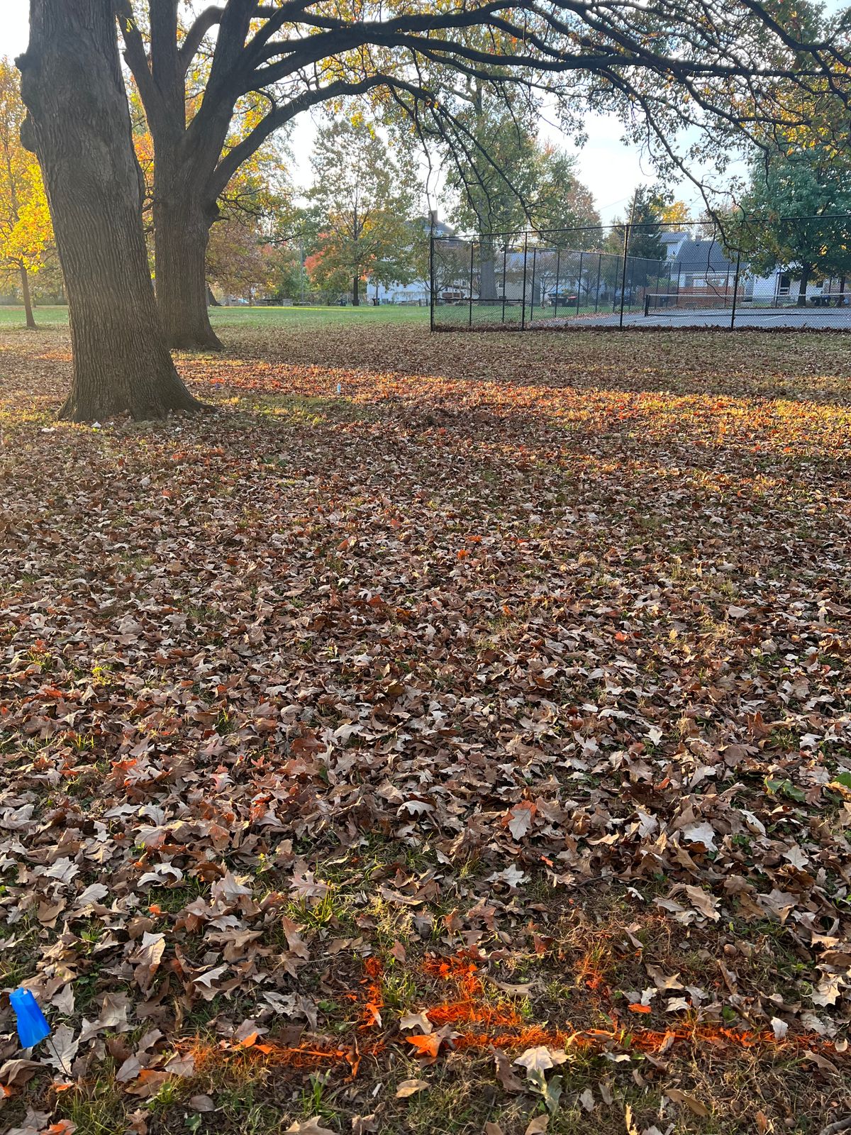 Hole 12 tennis court OB