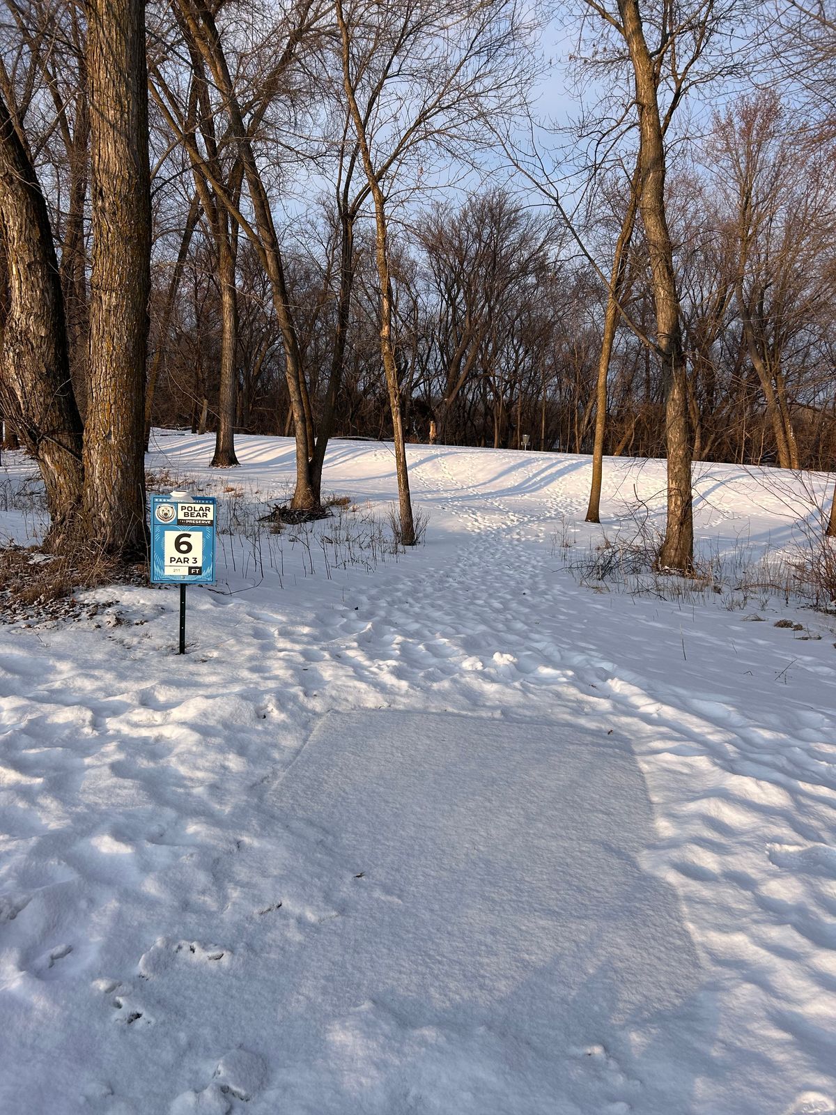 Hole 6 teepad - fun short hole, best hole on course IMO