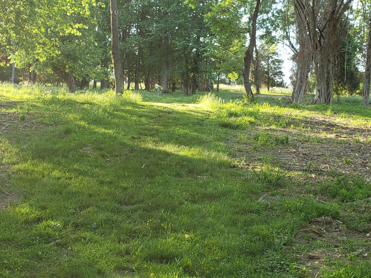 View from tee pad 4. Bent basket.